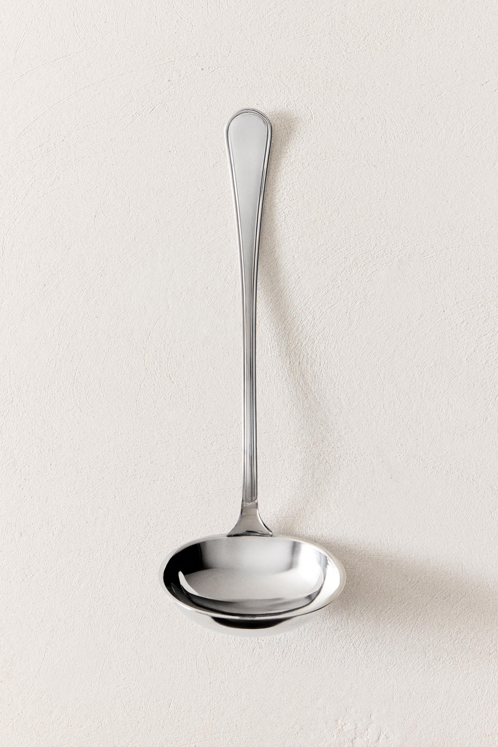 SHINY STEEL LADLE
